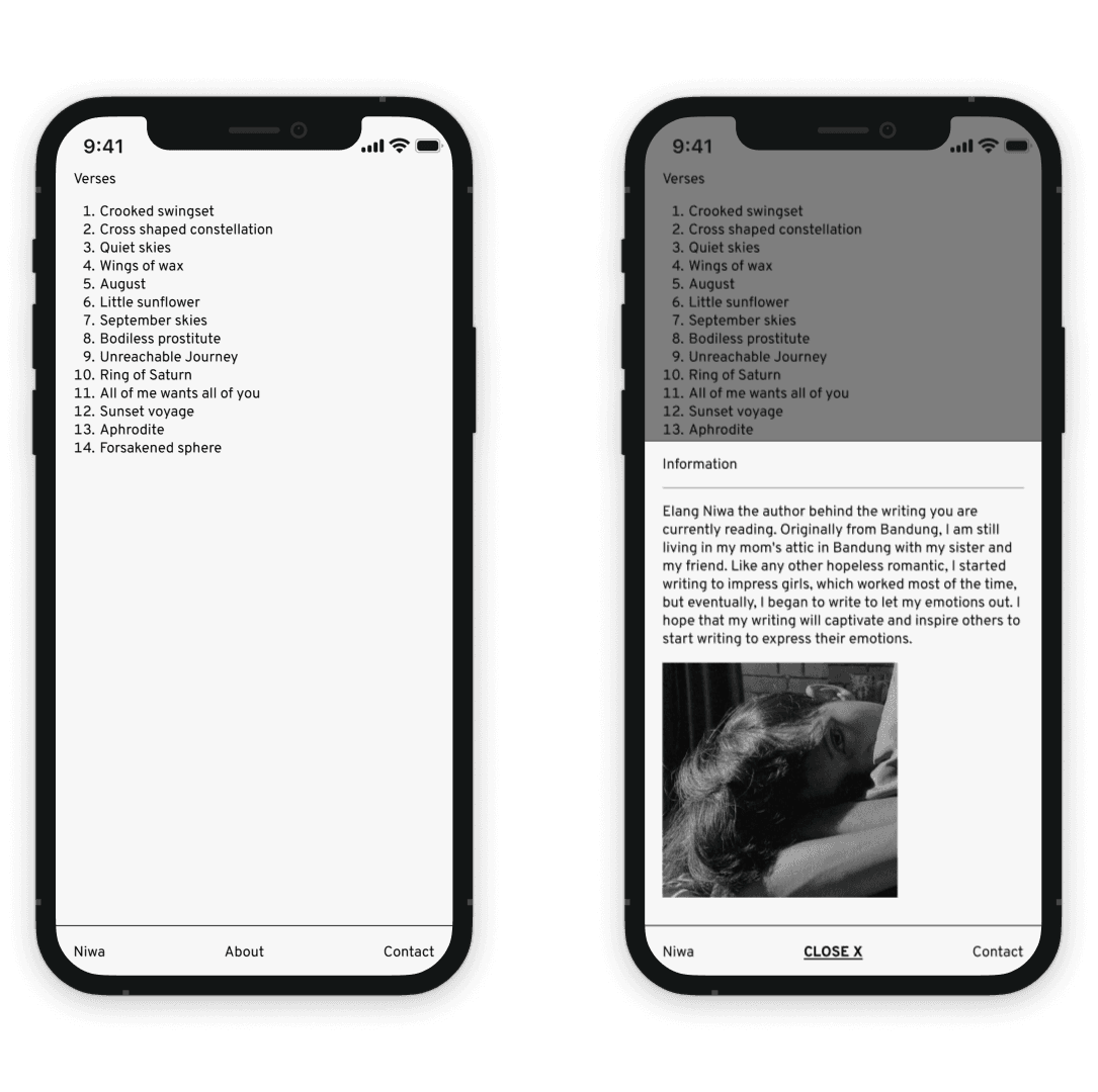Niwa project preview