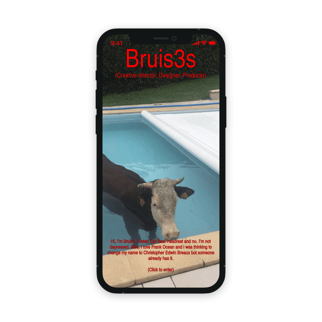 Bruis3s, 2nd ver project preview